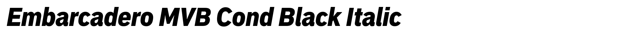 Embarcadero MVB Cond Black Italic image